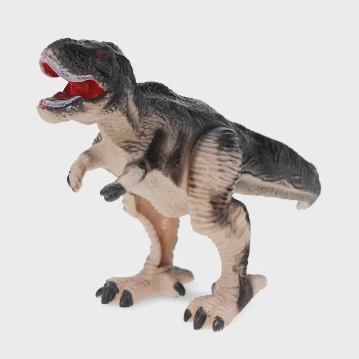 Wind Up T-Rex Dinosaur Toy