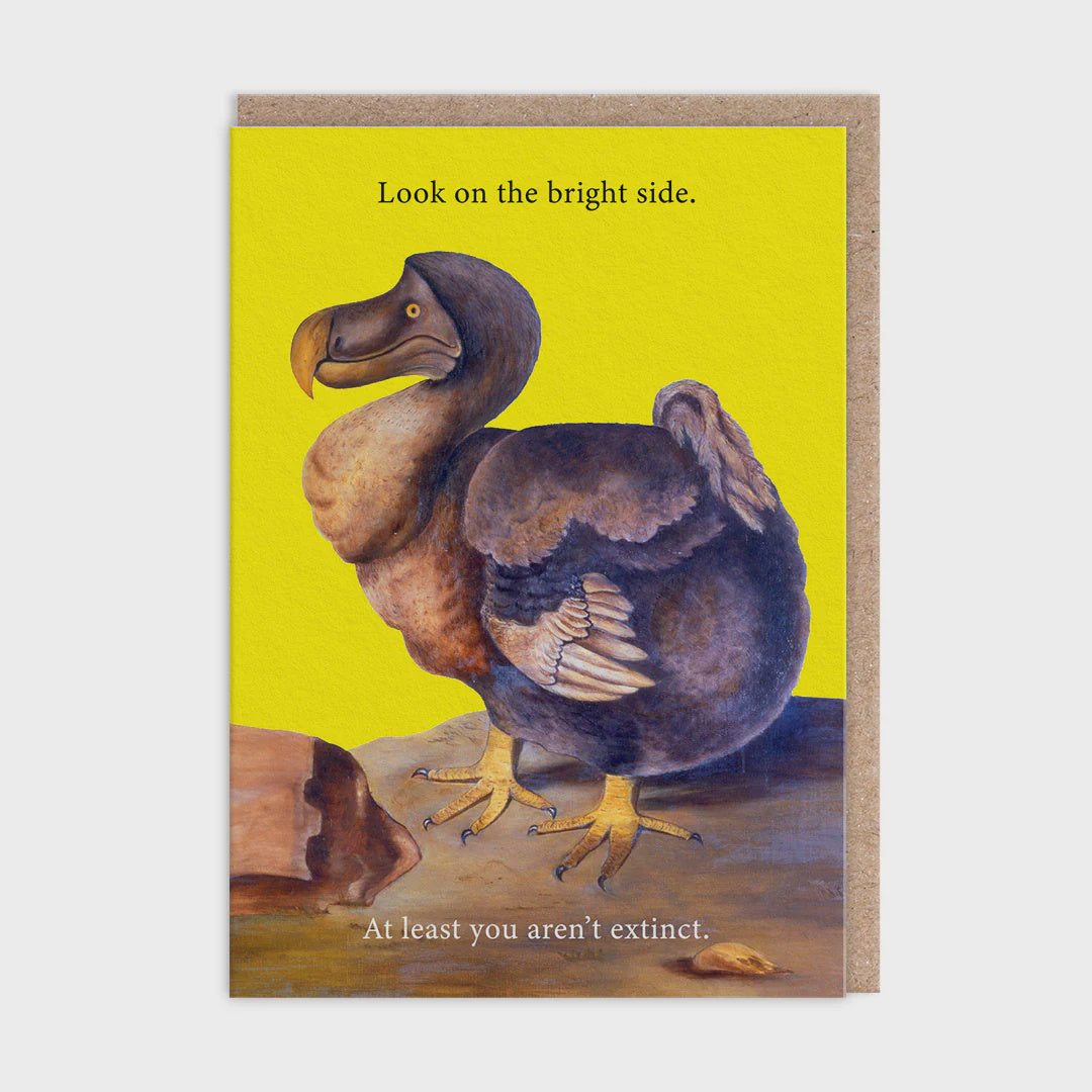 Bright Side Dodo Card