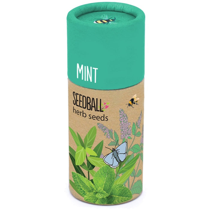 Seedball Mint Tube - Podarok