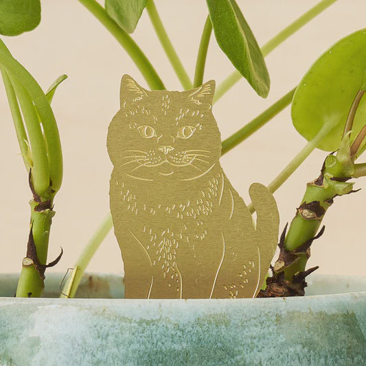 Another Studio Plant Animal Cat