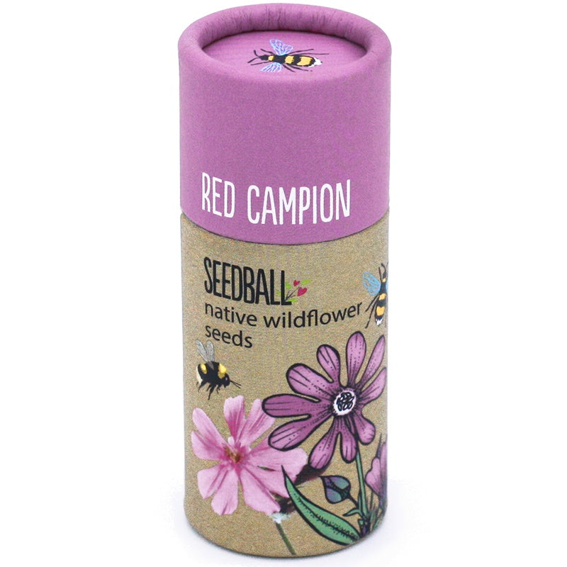 Seedball Red Campion Tube - Podarok