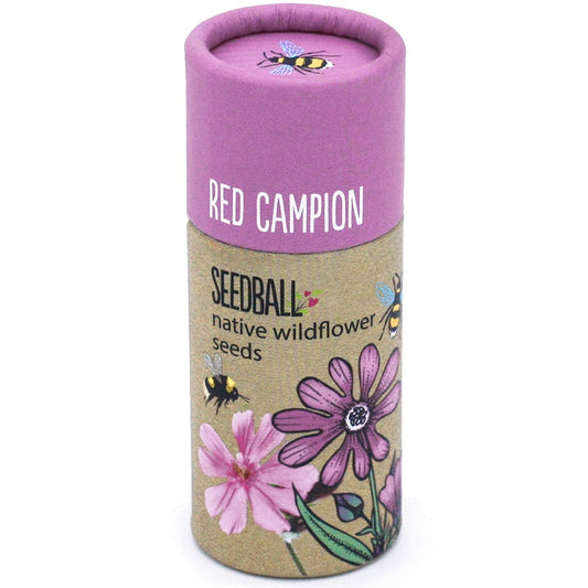Seedball Red Campion Tube