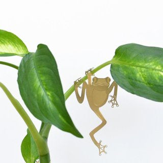 Another Studio Plant Animal Tree Frog - Podarok