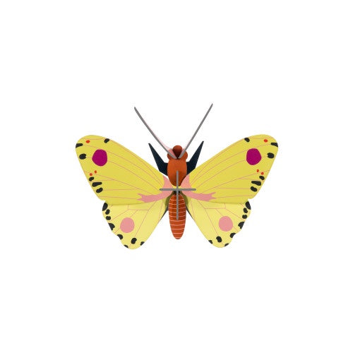 Luzerne Butterfly Wall Decoration