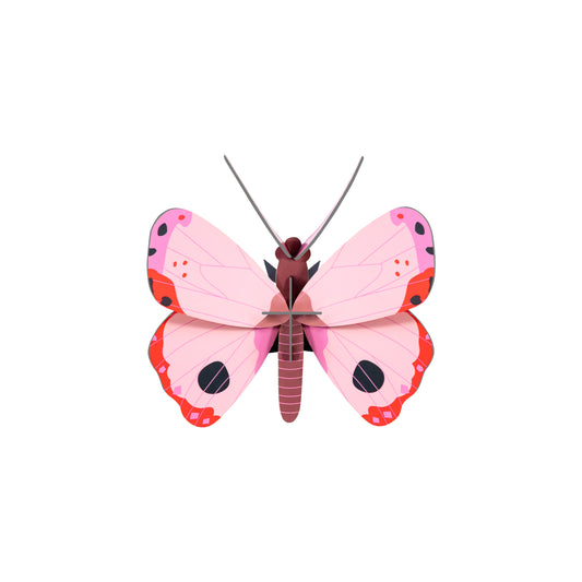 Rosora Butterfly Wall Decoration