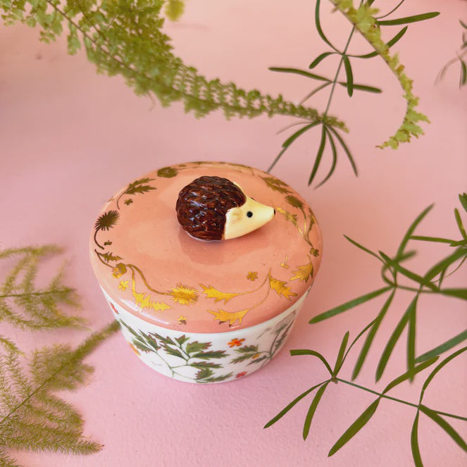 Secret Garden Hedgehog Trinket Pot