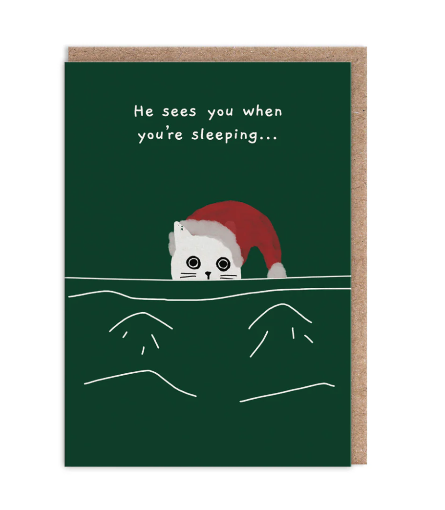 He Sees You When You're Sleeping Cat Christmas Card