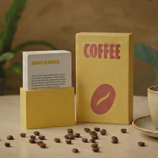 Become An Expert in Coffee