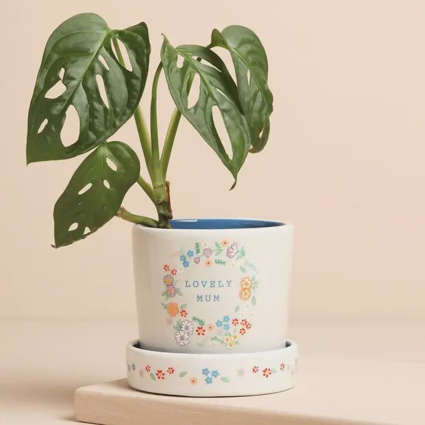 Ceramic Floral Mum Plant Pot and Tray - Podarok