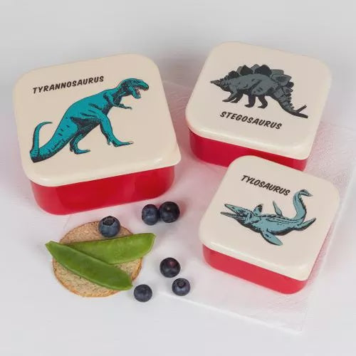 Prehistoric Land DinosaurSet of 3 Snack Boxes