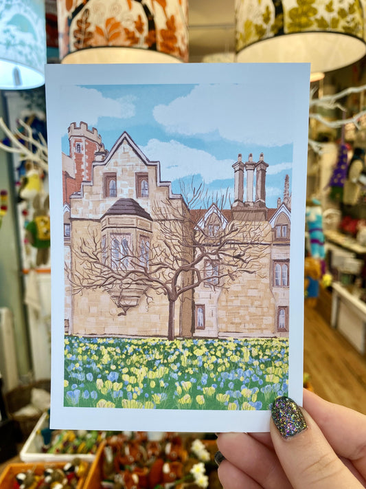 Cambridge Purple Postcard - Newton's Apple Tree - Podarok