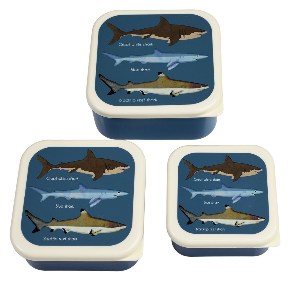Rex London Set of 3 Snack Boxes / Sharks