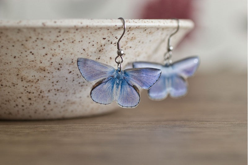Acdria Common Blue Butterfly Earrings
