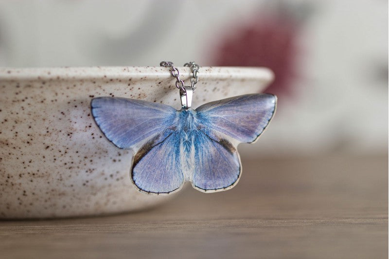 Acdria Common Blue Butterfly Necklace