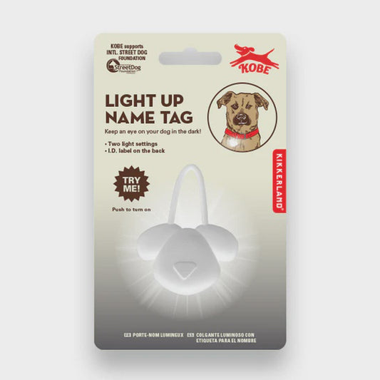 LIGHT UP NAME TAG