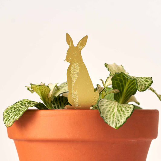 Another Studio Plant Animal Rabbit -