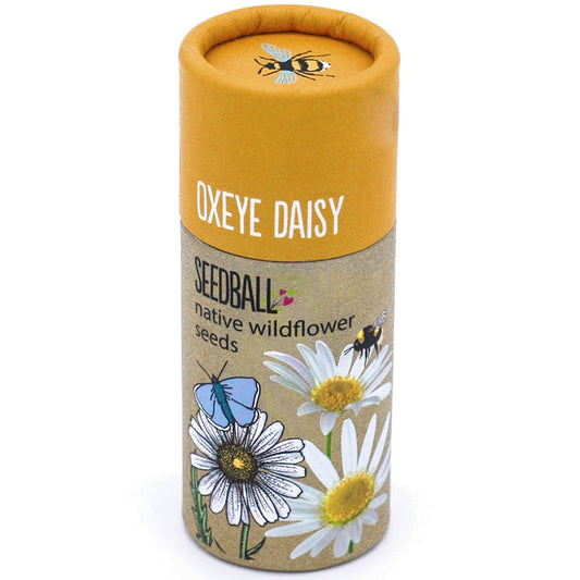 Seedball Oxeye Daisy Tube