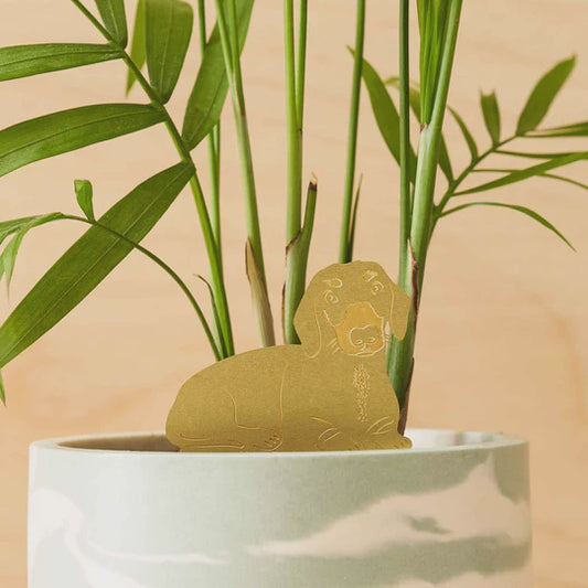 Another Studio Plant Animal Dachshund -