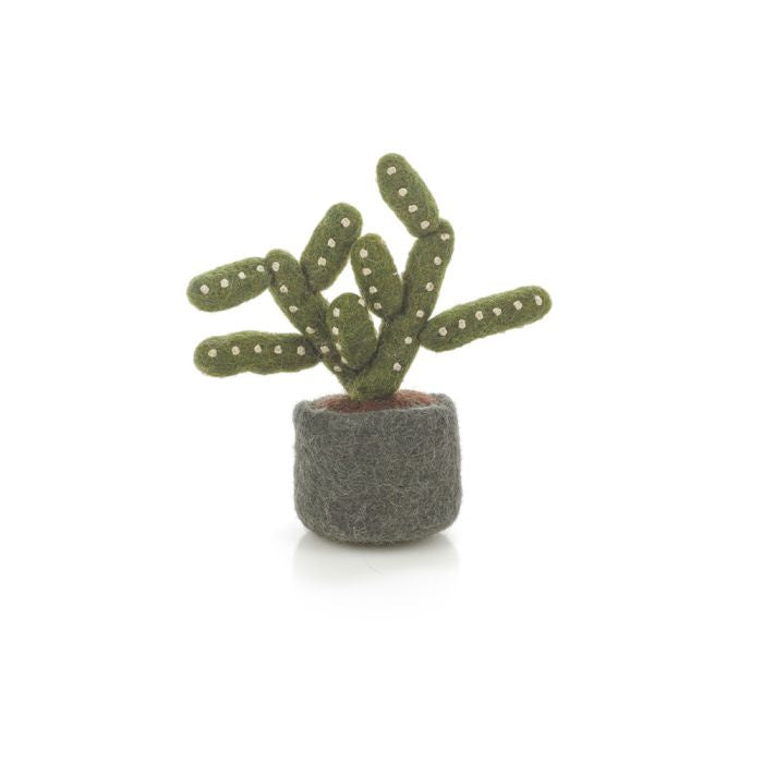 Felt So Good Miniature Plants Pencil Cactus
