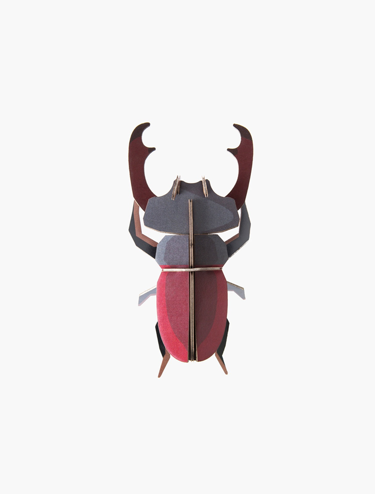 Studio Roof Wall Decor - Stag Beetle